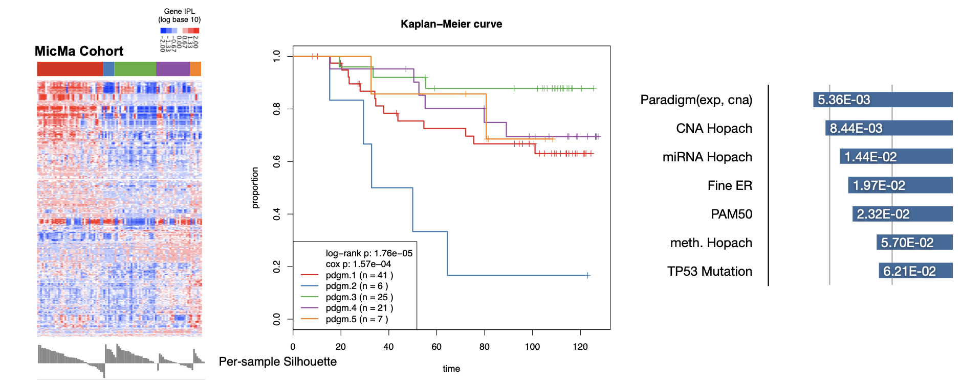 Heatmap of per-patient per-gene pathway activities, with cluster annotation. Additionally, the Kaplan-meier survival curve, and the significance of the progression of the subtypings using various data types